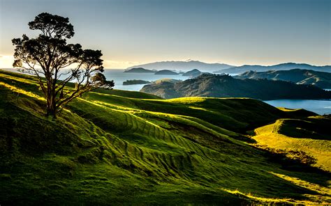 3,000+ Free New Zealand & Nature Images .